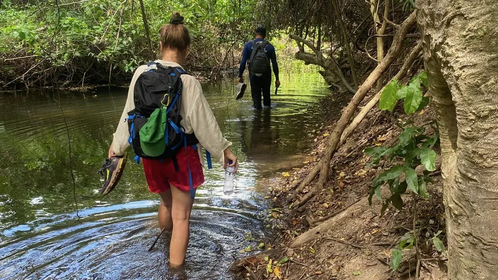 Wonderful hiking trails
